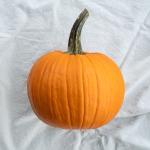 Pompoen halloween pr (stuk) (ST)