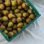 Peren klein gieserwildeman pr (10st) (SCH)