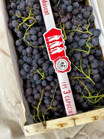 Druif muscat pr (kist +/- 6,5kg)