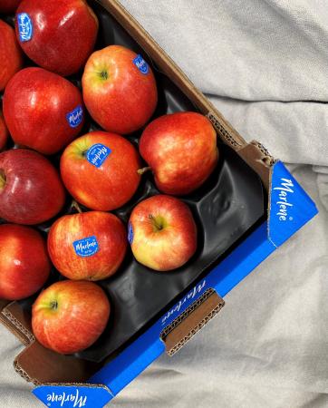 Appel royal gala pr kist (4kg)