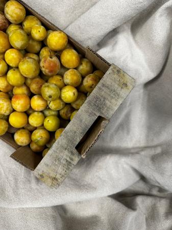 Pruimen mirabelles pr (kist)