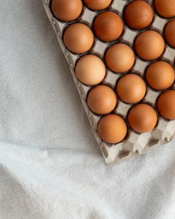 Oeufs de poules pr CARTON (360pc)