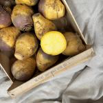 Navets rutabaga pr (caisse 5kg) (KIST)