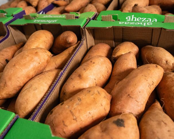 Patates douces, petit prix !