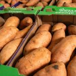 Sweet potatoes, sweet deal!