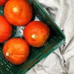 Pumpkin Hokkaido pr (box 6pcs) (KIST)