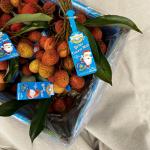 Lychees pr (kg) (KG)