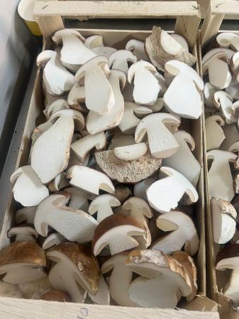 Champ cepes gesneden pr (kist 3kg)