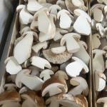Champ cepes gesneden pr (kist 3kg) (KIST)