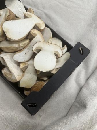 Champ cepes gesneden pr (1kg)