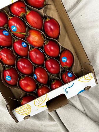 Tamarillo rood pr (kist)